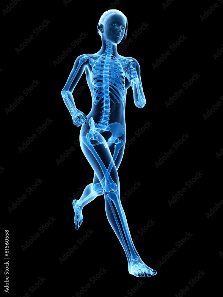medical 3d illustration - female jogger - visible bones