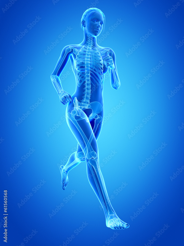medical 3d illustration - female jogger with visible bones medical 3d illustration - female jogger with visible bones