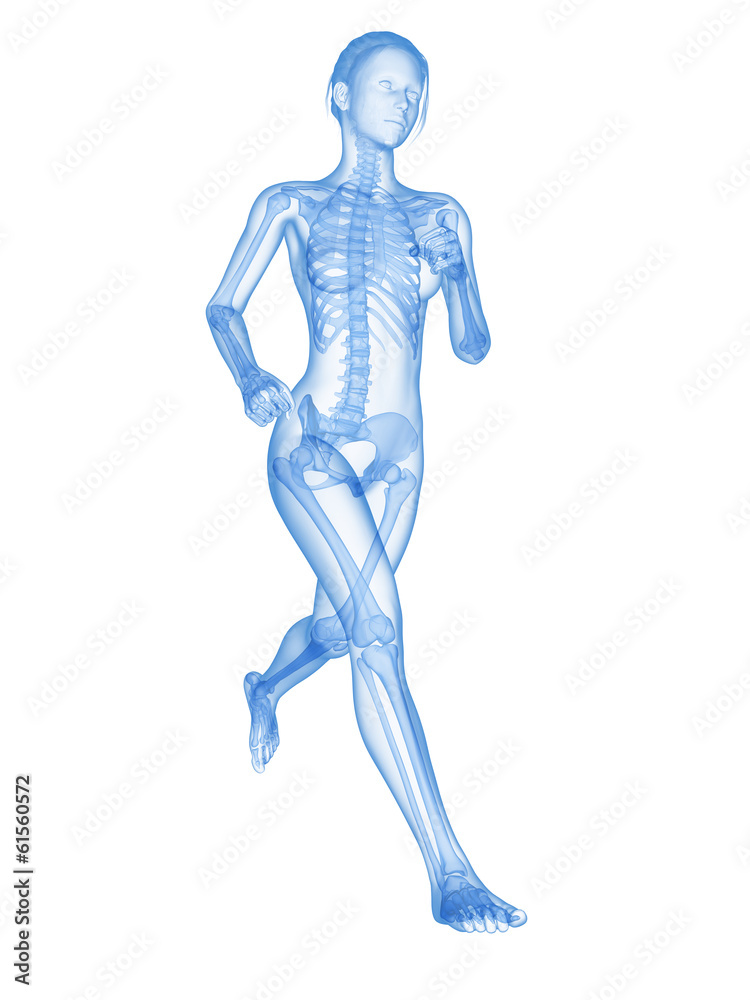medical 3d illustration - female jogger with visible bones