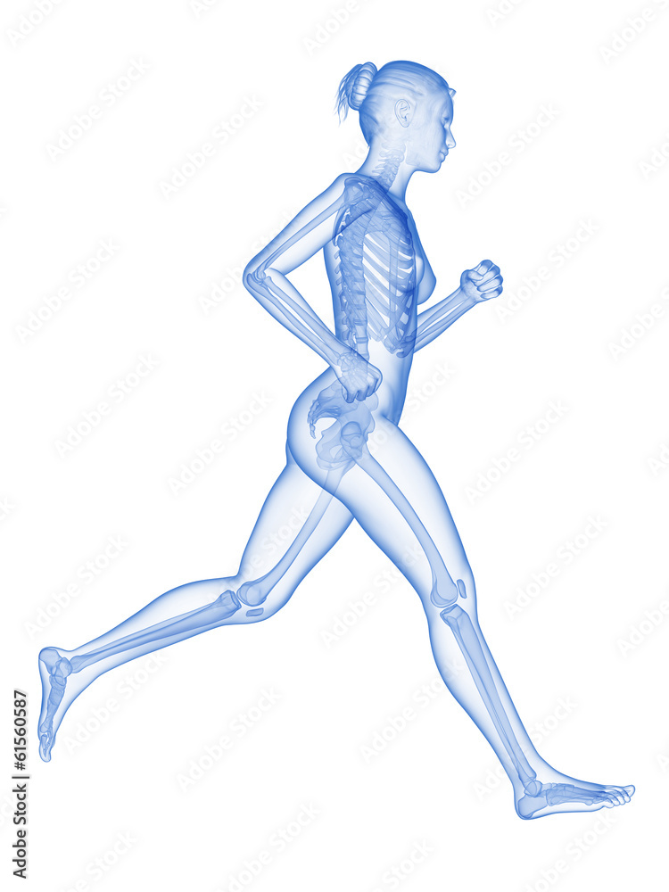 medical 3d illustration - female jogger with visible bones medical 3d illustration - female jogger with visible bones