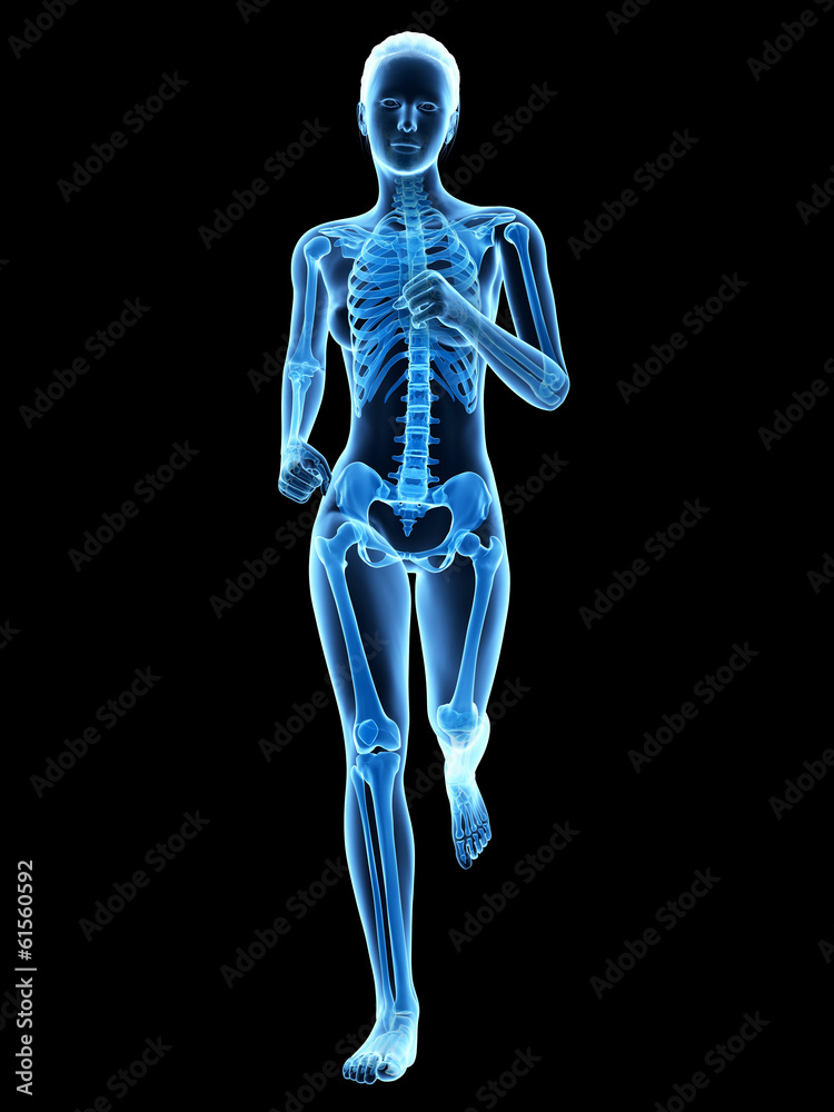 medical 3d illustration - female jogger with visible bones medical 3d illustration - female jogger with visible bones