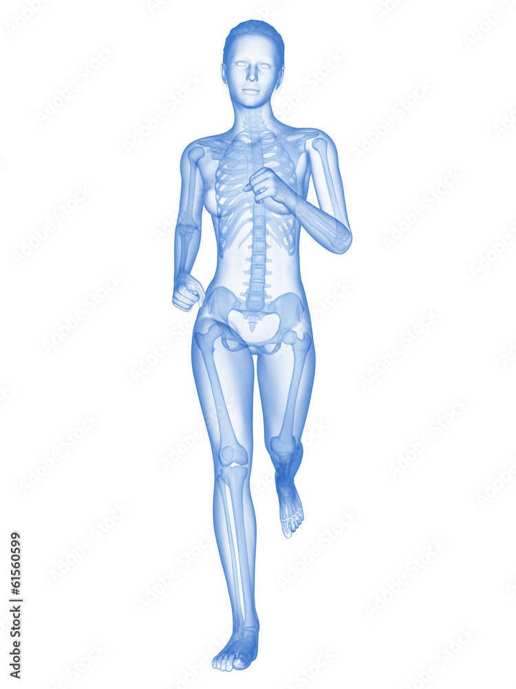 medical 3d illustration - female jogger with visible bones medical 3d illustration - female jogger with visible bones