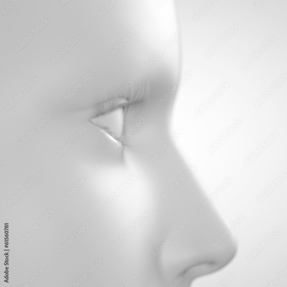 grey female - close up of the eye grey female - close up of the eye