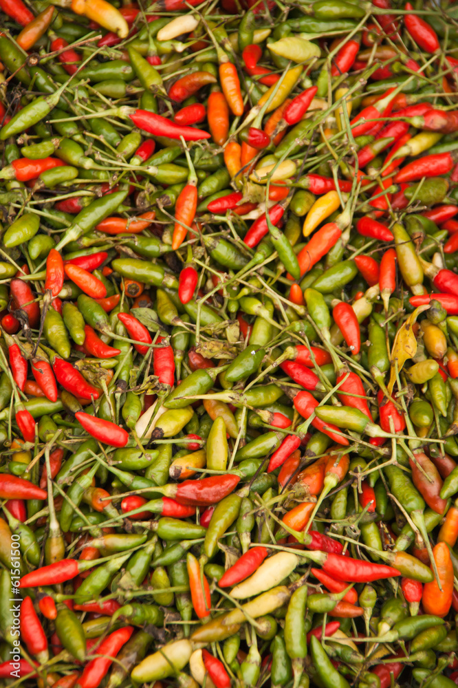 chili chili