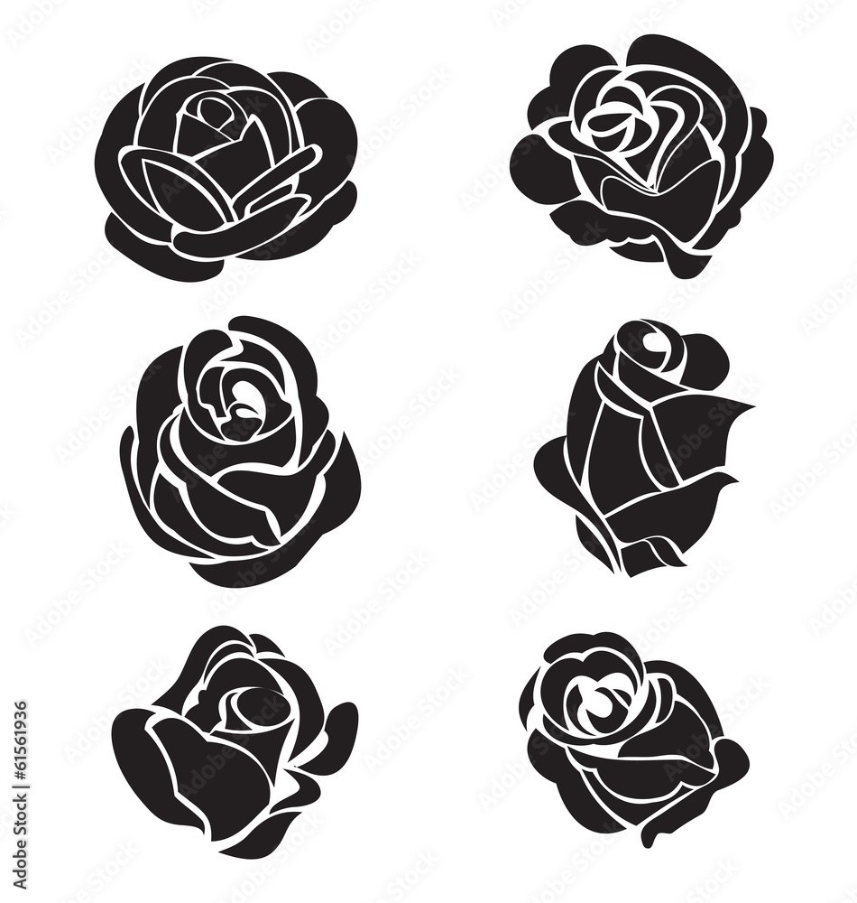 rose