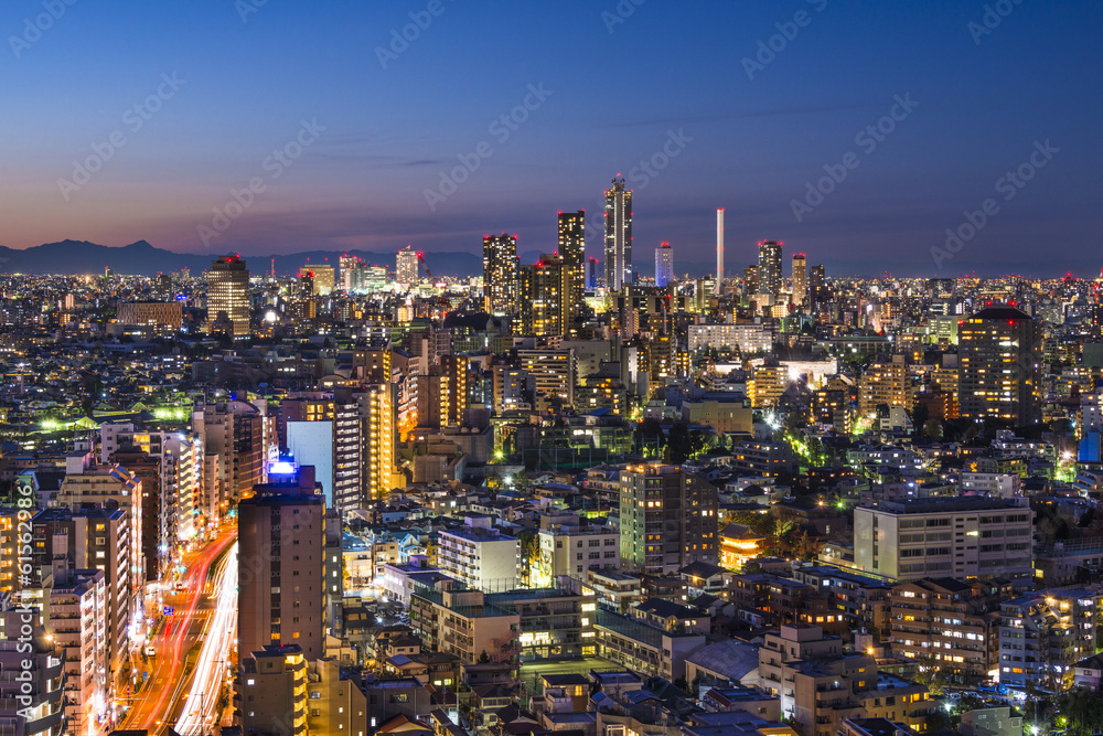 Tokyo Cityscape in Bunkyo Ward