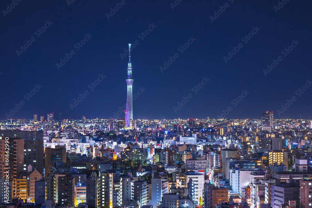 Obraz premium Tokyo Cityscape with Tokyo Skytree