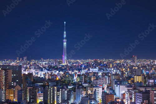 Tokyo Cityscape with Tokyo Skytree