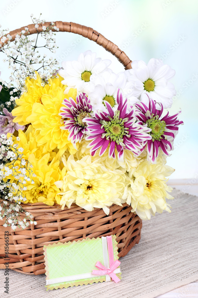 Beautiful chrysanthemum flowers in wicker basket