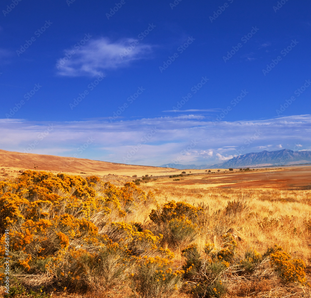 Obraz premium Prairie