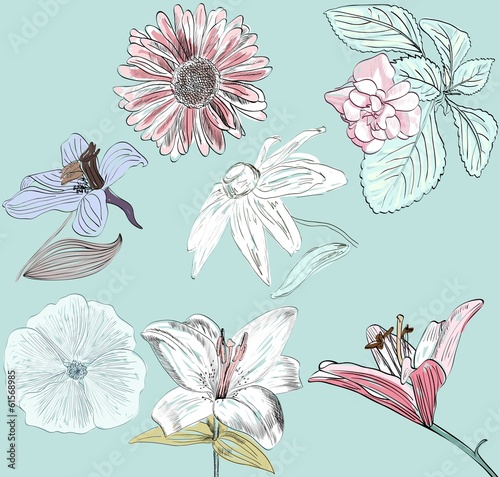 Fototapeta Naklejka Na Ścianę i Meble -  set of beautiful hand draw flowers .