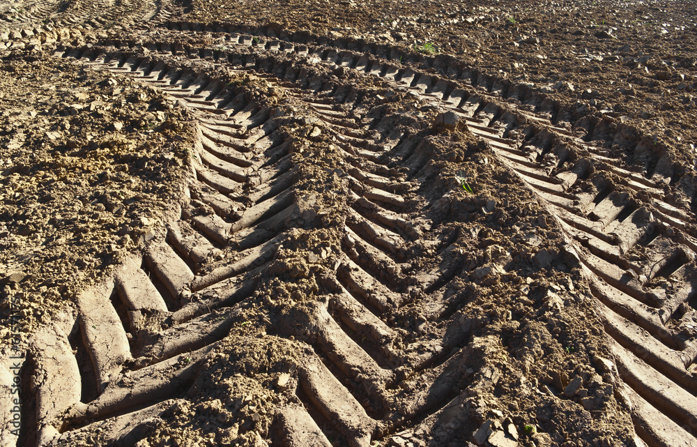 Fototapeta premium Track of a tractor on a plowed field