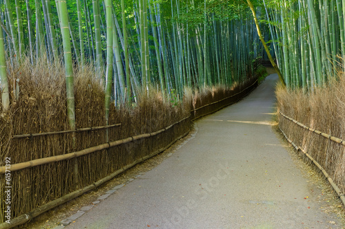 Chikurin-no-Michi (Bamboo Grove) at Arashiyama in Kyoto