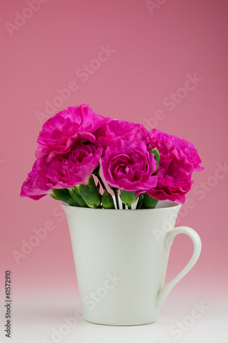 Wallpaper Mural カーネーション Torontodigital.ca