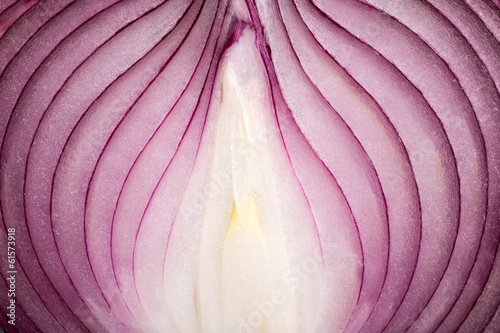 Ripe onion slice. closeup view