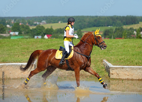 Rider on horse at equestrian event