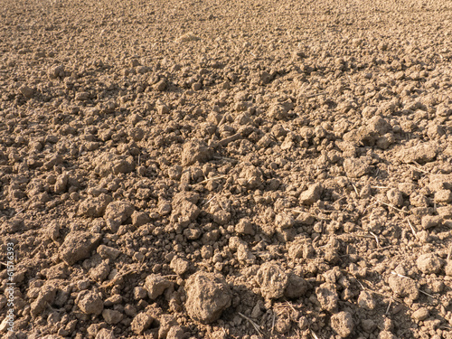 Plowed Field