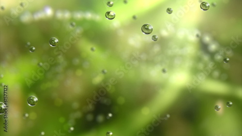 raining inside a forest (seamless loop)
