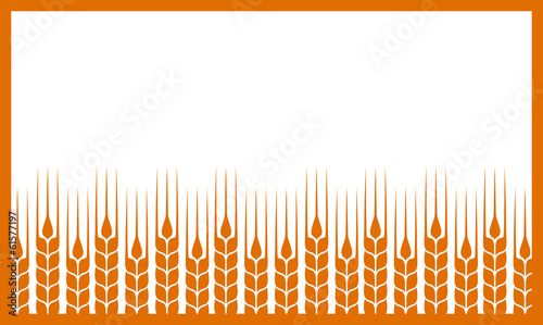 white background with wheat ears