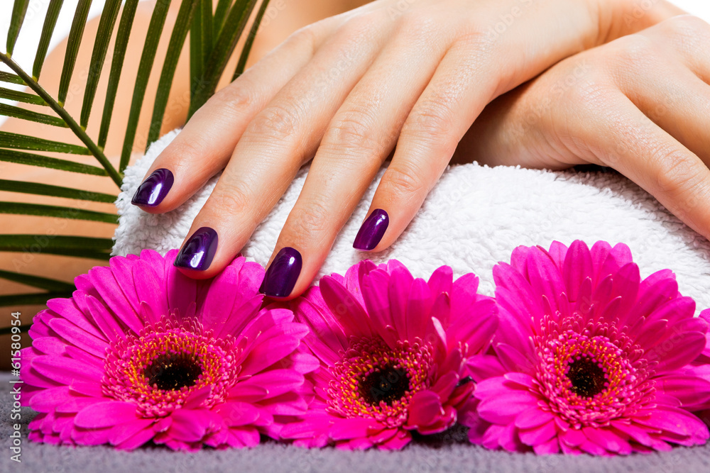 Frau mit manikürten Händen und Gerbera Blüten in einem Nagels Frau mit manikürten Händen und Gerbera Blüten in einem Nagels