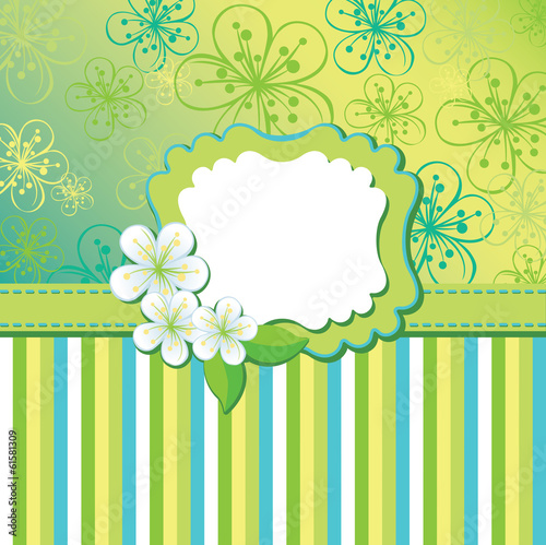 Spring flowers background and strips. Design template