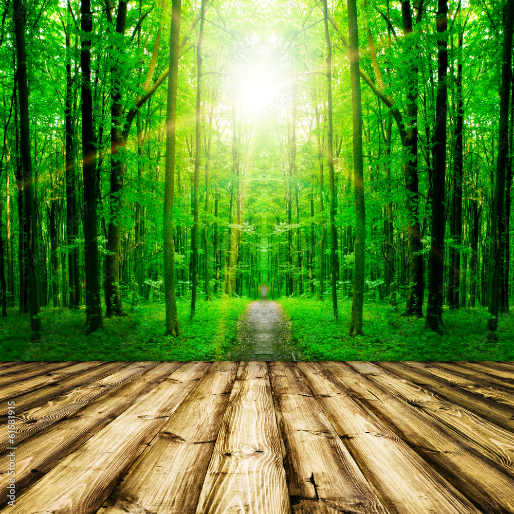 wood wood