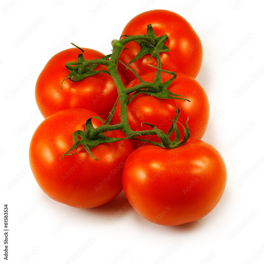 Isolated image of tomatoes on a white background Isolated image of tomatoes on a white background