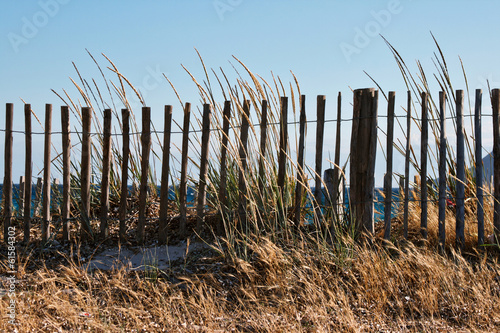 fence and high dry grass