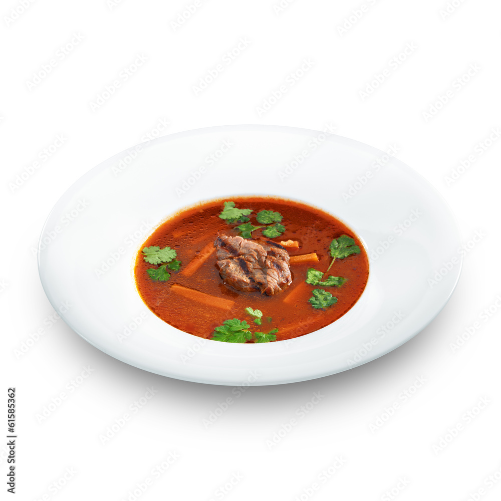Hot delicious tomato soup with meat and rice served with leek an Hot delicious tomato soup with meat and rice served with leek an