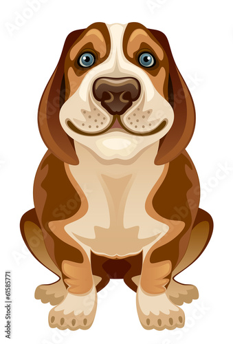 Cute puppy