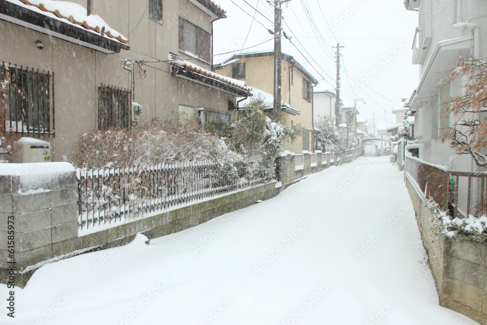 Fototapeta premium The heaviest snow in decades in Tokyo and other areas of Japan