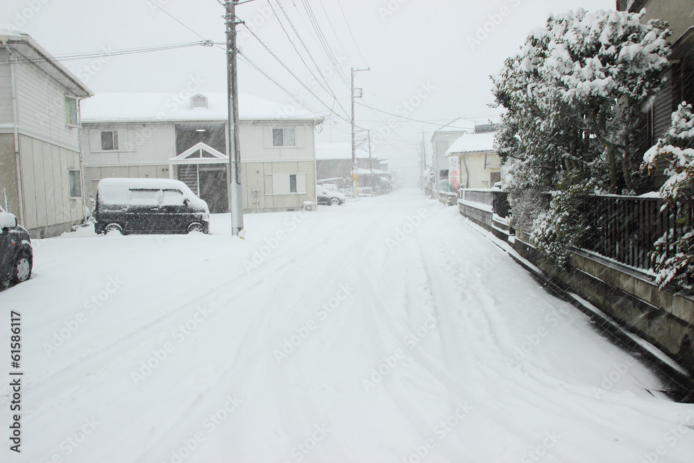 Fototapeta premium The heaviest snow in decades in Tokyo and other areas of Japan