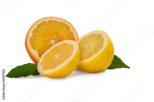 Citrus and orange