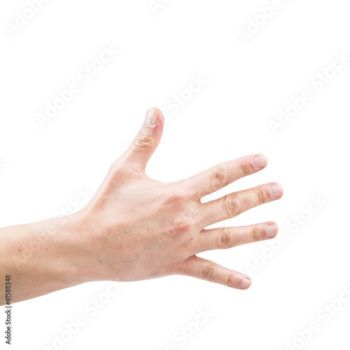 Isolated hand on a white background