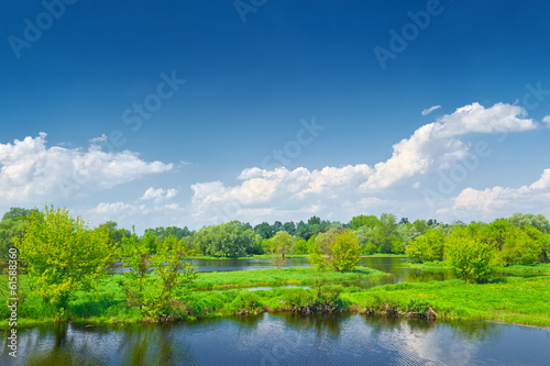Fototapeta Naklejka Na Ścianę i Meble -  Spring landscape by The Narew braided river.