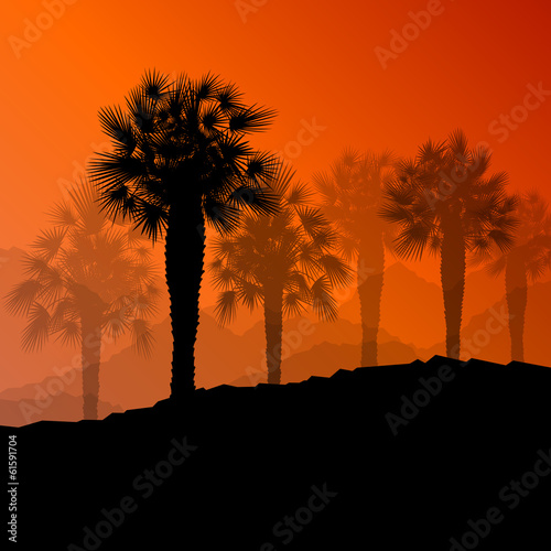Palm tree desert oasis forest silhouettes wild nature landscape