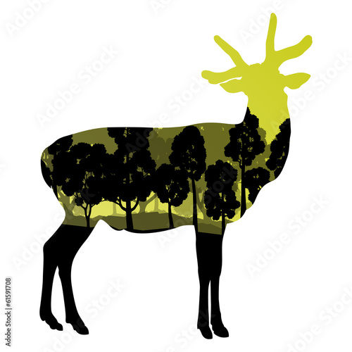 Deer wild animal silhouette in nature forest landscape abstract