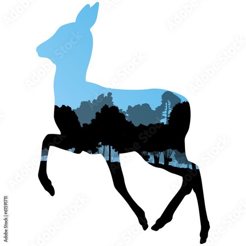 Doe venison deer animal silhouettes in wild nature forest landsc