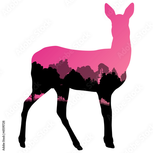 Doe venison deer animal silhouettes in wild nature forest landsc