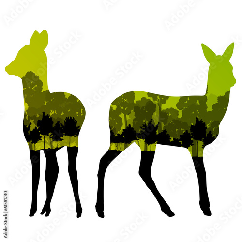 Doe venison deer animal silhouettes in wild nature forest landsc