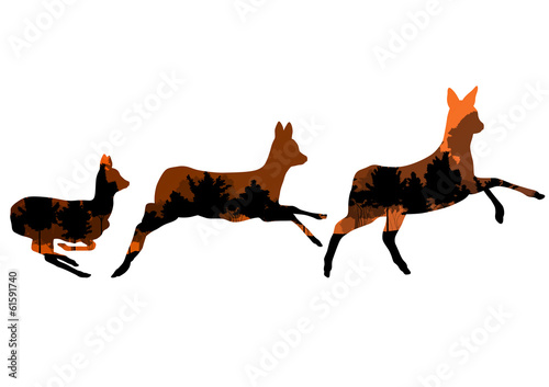 Doe venison deer animal silhouettes in wild nature forest landsc