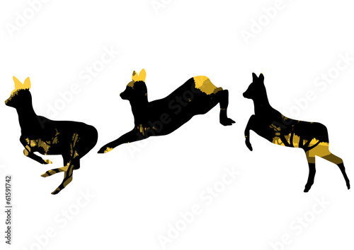 Doe venison deer animal silhouettes in wild nature forest landsc