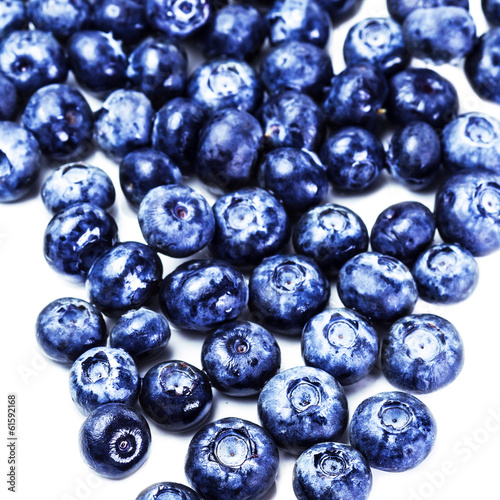 Blueberries isolated on white background close up. Group of fres