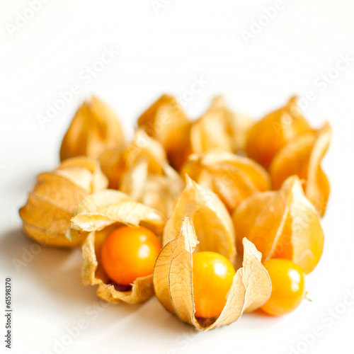 physalis