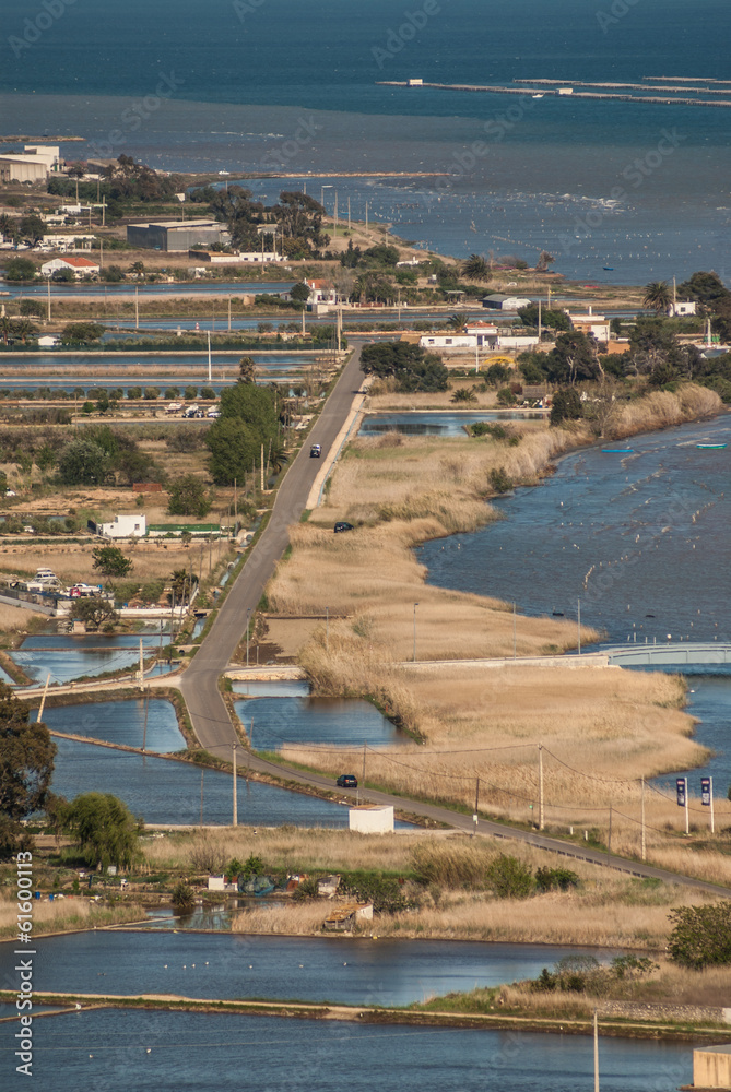 Fototapeta premium view of a paddy field in Delta de l'Ebre, Catalonia, Spain