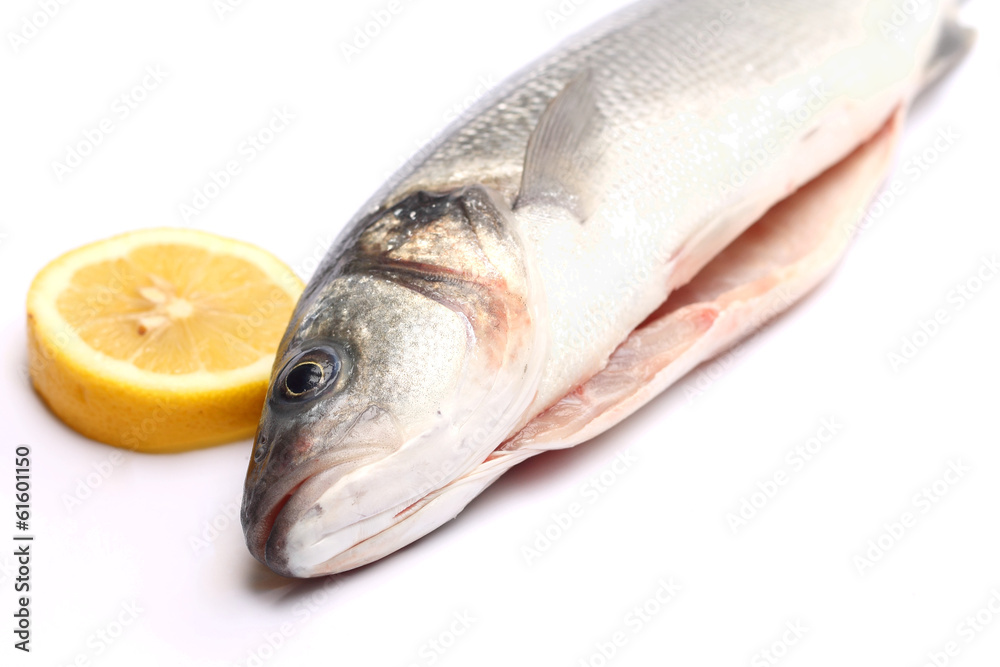 Sea bass isolated on white background with lemon Sea bass isolated on white background with lemon