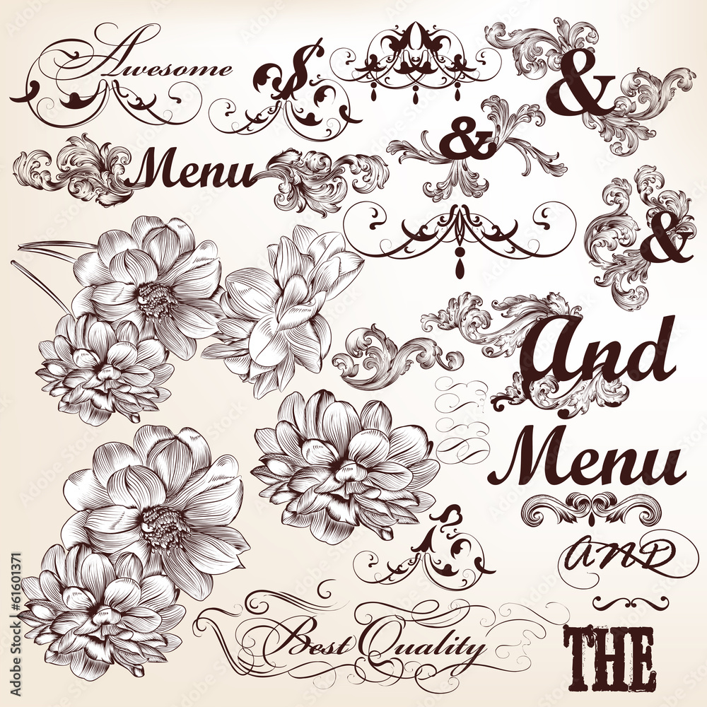 Collection of vector calligraphic and decorative elements in vin