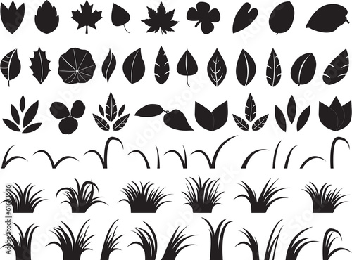 Large collection of leafs and grass illustrated on white