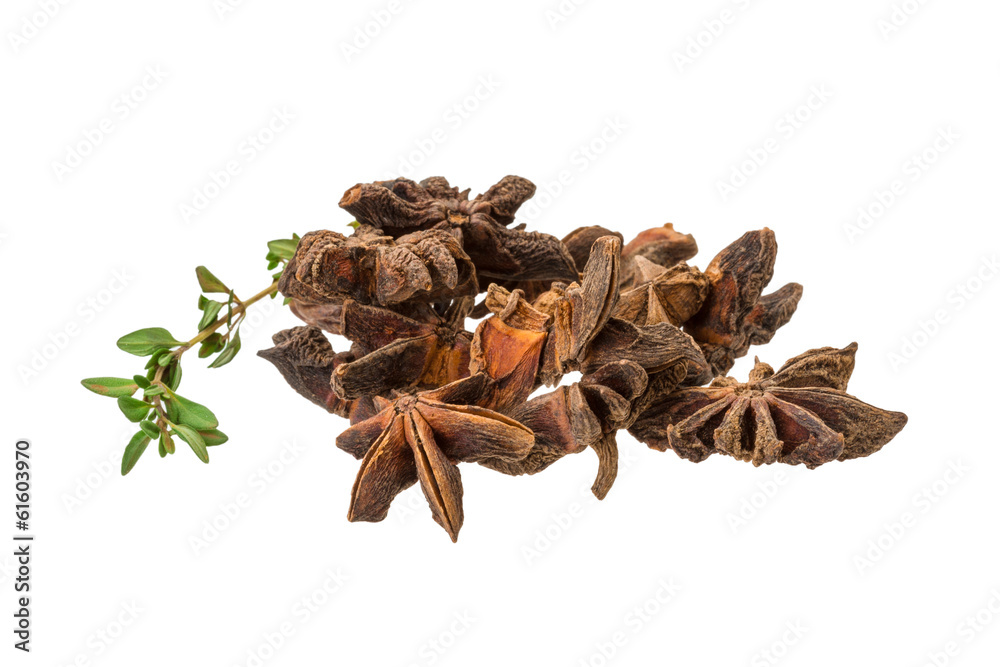 Obraz premium Star-anise