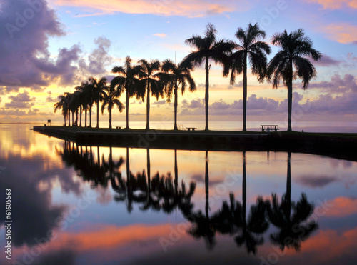 Miami Sunrise © doncon402